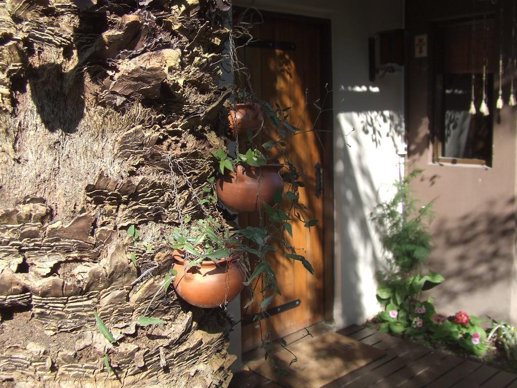 Hosteria Pascana San Salvador de Jujuy Zewnętrze zdjęcie