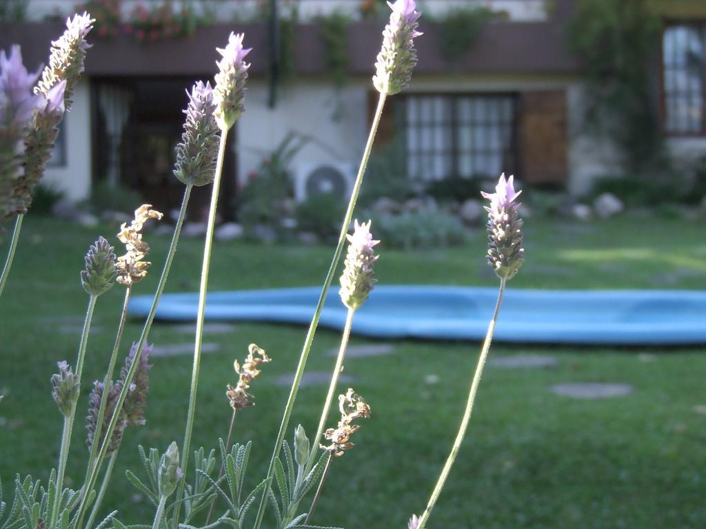 Hosteria Pascana San Salvador de Jujuy Zewnętrze zdjęcie