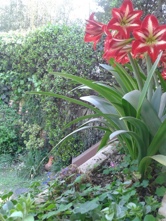 Hosteria Pascana San Salvador de Jujuy Zewnętrze zdjęcie